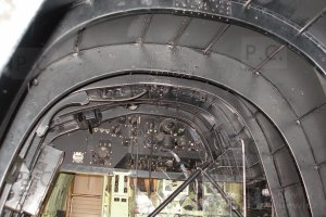 P4060319 (Kopiowanie).JPG