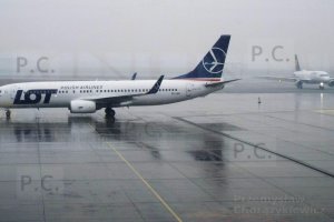 DSCF0268 (Kopiowanie).JPG