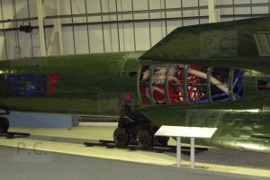 P4080211 (Kopiowanie).JPG