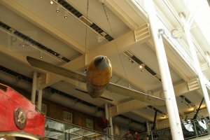 P4060028 (Kopiowanie).JPG