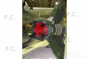 P4080212 (Kopiowanie).JPG