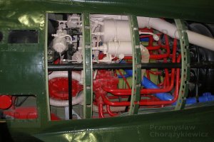 P4080201 (Kopiowanie).JPG