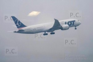 DSCF0256 - Kopia (Kopiowanie).JPG