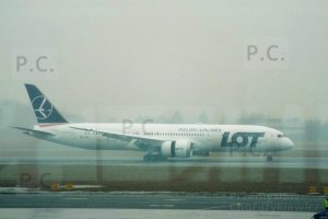 DSCF0273 - Kopia (Kopiowanie).JPG