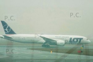 DSCF0275 - Kopia (Kopiowanie).JPG