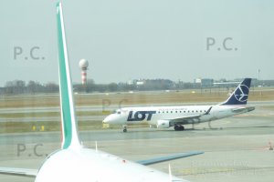 DSCF0622 (Kopiowanie).JPG