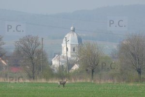 przemysław chorążykiewicz stare lotnisko w hureczku