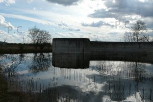 P1060133 (Kopiowanie).JPG