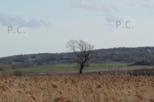 przemysław chorążykiewicz historia lotniska hureczko