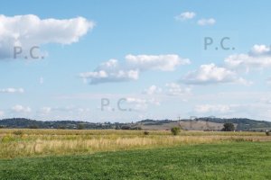 DSCF4596 (Kopiowanie).JPG