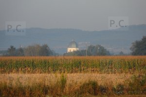 SAM_1938 (Kopiowanie).JPG