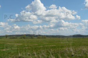 P1060097 (Kopiowanie).JPG