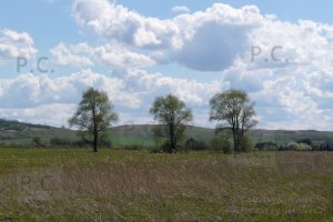 Krajobrazy - Hureczko, Krówniki, Łapajówka, Siedliska, Hurko