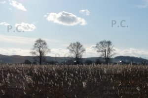 przemysław chorążykiewicz hureczko