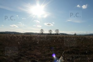 przemyslaw chorazykiewicz krówniki