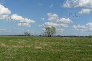 P1060095 (Kopiowanie).JPG