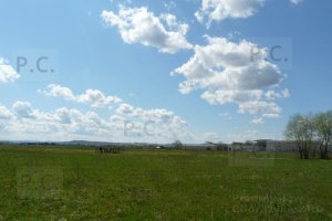 P1060091 (Kopiowanie).JPG