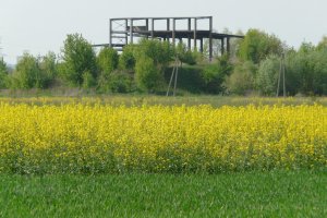 P1250847 (Kopiowanie).JPG