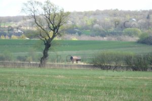 P1060101 (Kopiowanie).JPG