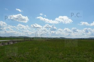 P1060090 (Kopiowanie).JPG