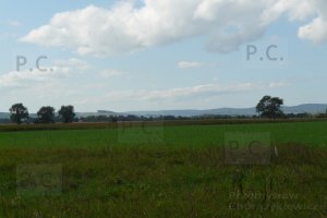 P1180424 (Kopiowanie).JPG