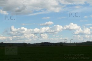 P1060142 (Kopiowanie).JPG