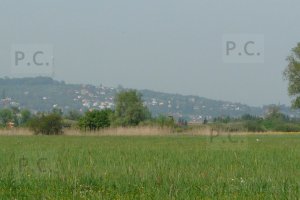 P1250797 (Kopiowanie).JPG