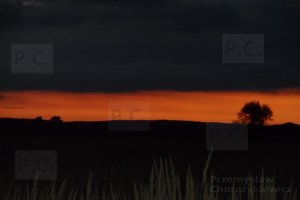 SAM_2101 (Kopiowanie).JPG