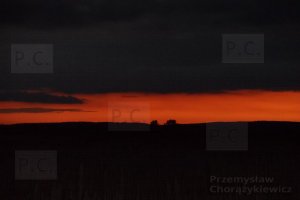 SAM_2097 (Kopiowanie).JPG