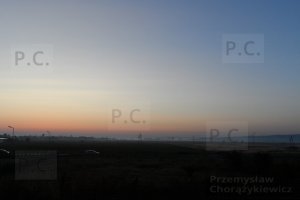 SAM_1900 (Kopiowanie).JPG