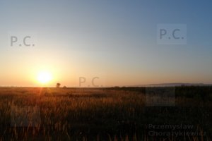 SAM_1925 (Kopiowanie).JPG