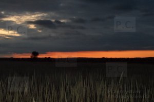 SAM_2106 (Kopiowanie).JPG