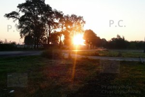 P1280117 (Kopiowanie).JPG