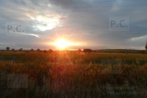 SAM_2118 (Kopiowanie).JPG