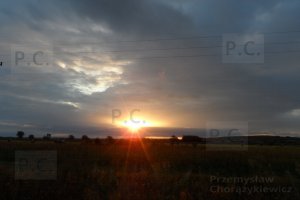 SAM_2114 (Kopiowanie).JPG