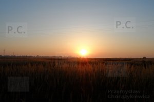 SAM_1917 (Kopiowanie).JPG