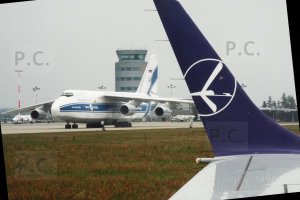 pll lot logo wingtip