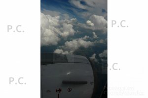 P1310430 (Kopiowanie).JPG