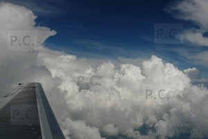 P1310428 (Kopiowanie).JPG