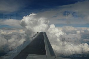 P1310423 (Kopiowanie).JPG