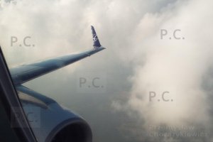 DSCF2920 (Kopiowanie).JPG