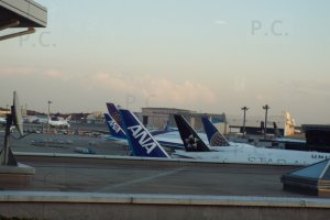 higherthanjumbojets.pl star alliance ana narita lotnictwo fotografia chorążykiewicz przemyśl