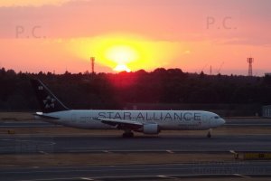 star alliance japan