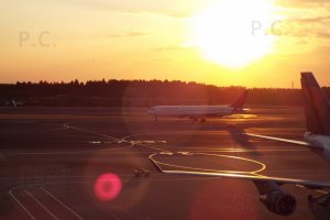 tokyo sunset higherthanjumbojets.pl