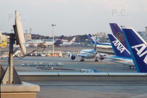 tokyo japan star alliance ana narita airport photo p. chorazykiewicz przemysl