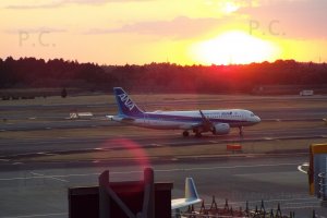 ana tokio narita higherthanjumbojets.pl (Przemysław Chorążykiewicz Przemyśl)