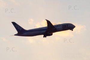 b 787 ana tokio narita higherthanjumbojets.pl (Przemysław Chorążykiewicz Przemyśl)