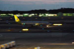 motyl noc butterfly night jet photo