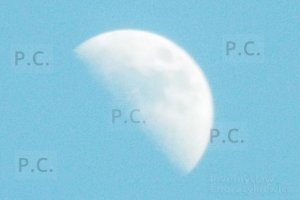 księżyc nad syberią