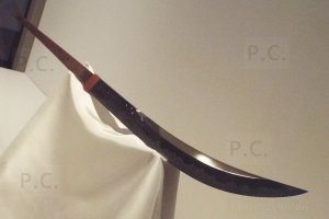 DSCF5080 (Kopiowanie).JPG